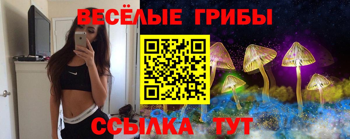 Галлюциногенные грибы ЛСД Новокуйбышевск