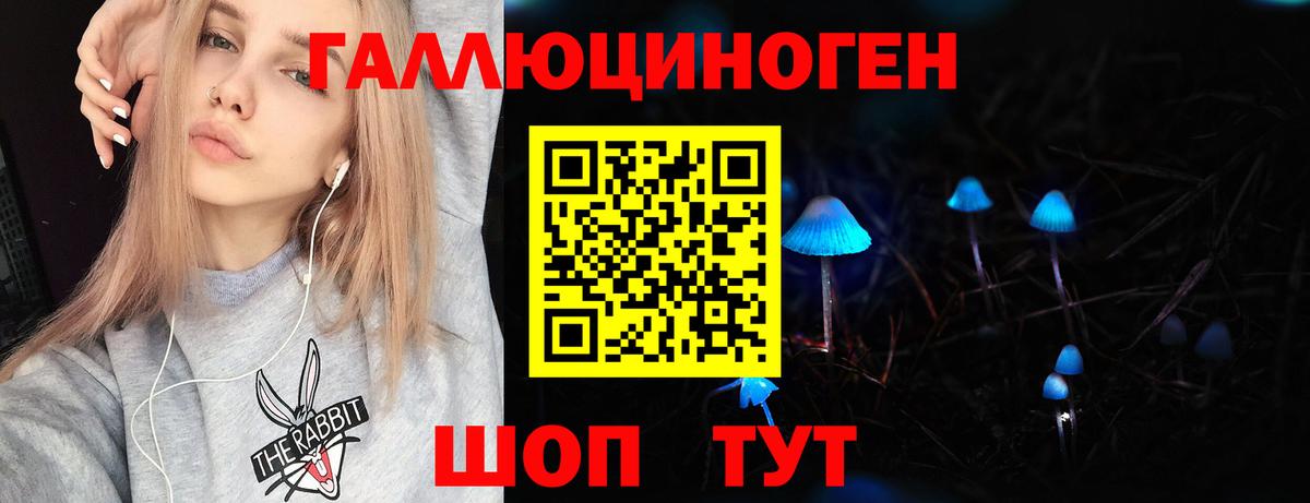 Alpha-PVP СК   ГАШ  Бошки Шишки  Новокуйбышевск  Меф МЯУ МЯУ   Вход с VPN  МЕТАДОН 