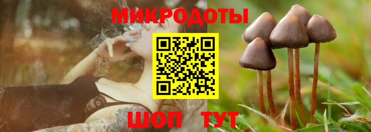 Псилоцибиновые грибы мицелий  Вход с VPN  как найти   Новокуйбышевск 